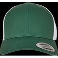 Gorra trucker retro bicolor Evergreen / White