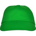 Gorra 5 paneles con ventilación Verde Helecho UNICA