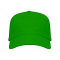 Gorra ajustable de algodón en 2 tallas Verde Helecho Kids