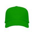 Gorra ajustable de algodón en 2 tallas Verde Helecho UNICA
