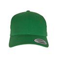 Gorra curva clásica CLASSIC GREEN