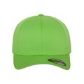Gorra con visera interior plateada FRESH GREEN L/XL