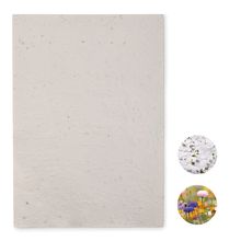 Hoja de Papel A4 con Semillas UE Blanco