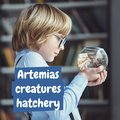 Juego acuario de animales prehistóricos