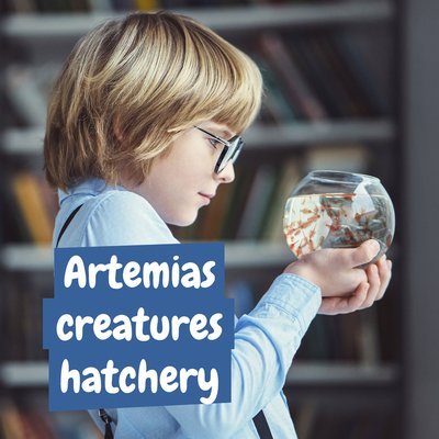 Juego acuario de animales prehistóricos