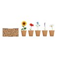 Kit Cultivo 5 Flores + Tierra UE