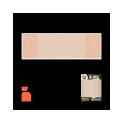 Kit de Excavación dinosaurios con Bolsa de Regalo | Cuerpo | 480 x 150