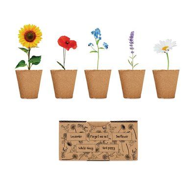 Kit Cultivo 5 Flores + Tierra UE Beig