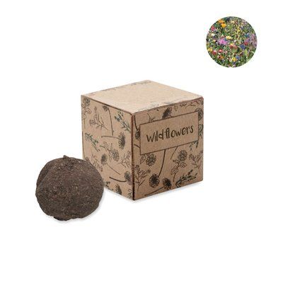 Kit Cultivo Flores Silvestres en Caja Beig