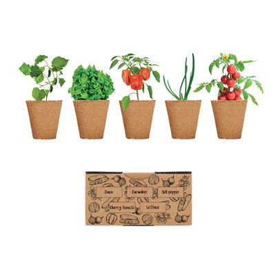 Kit Cultivo Verduras UE