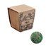Kit cultivo semillas menta UE Beig