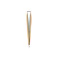 Lanyard Rainbow multicolor