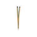 Lanyard Rainbow multicolor