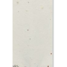 Lápiz Madera con Goma y Envase Semillas Blanco