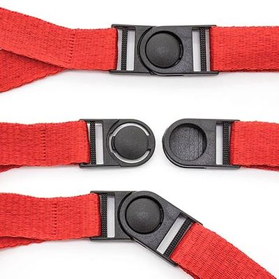 Lanyard