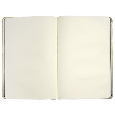 Libreta A5 Metalizada y 80H Lisas Borde Negro