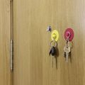 Llavero Moneda Metálico con Ventosa Coche Extraíble