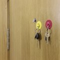 Llavero Moneda Metálico con Ventosa Coche Extraíble