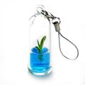 Llavero Con Planta En Gel