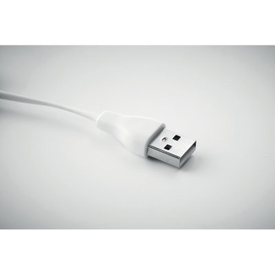 Llavero Bambú con USBs