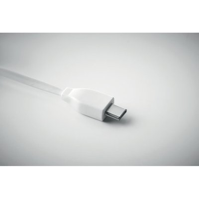 Llavero Bambú con USBs
