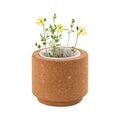 Maceta de Corcho con Semillas Silvestres UE Flores