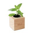 Maceta de madera con semillas de menta