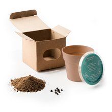Maceta biodegradable con semillas de petunia Crudo