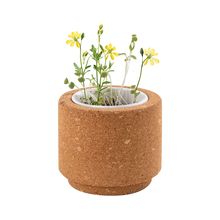 Maceta de Corcho con Semillas Silvestres UE Flores