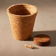 Maceta Biodegradable con Semillas