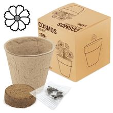 Maceta Bio con Semillas Cosmos
