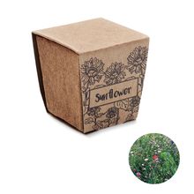 Maceta BIO con semillas girasoles UE Beig