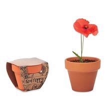 Maceta de Terracota Artesanal y semillas Madera
