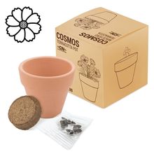Maceta Terracota con Semillas Flores Cosmos