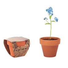 Maceta de Terracota con Semillas Madera