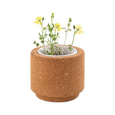 Maceta de Corcho con Semillas Silvestres UE Flores