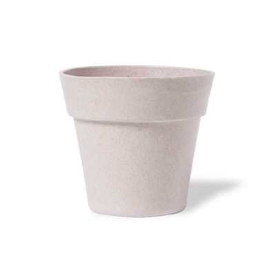 Maceta Biodegradable Semillas Girasol