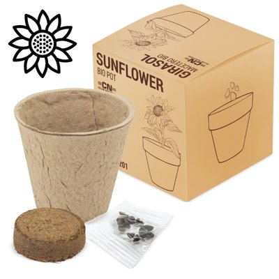 Maceta Bio con Semillas Girasol