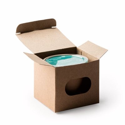 Maceta biodegradable con semillas de petunia