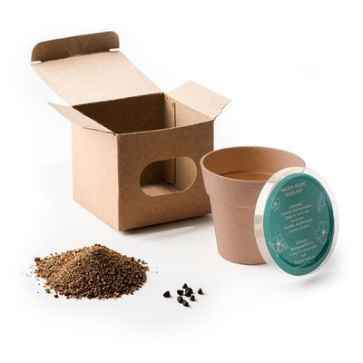 Maceta biodegradable con semillas de petunia