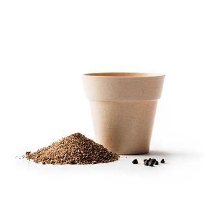 Maceta biodegradable con semillas de petunia