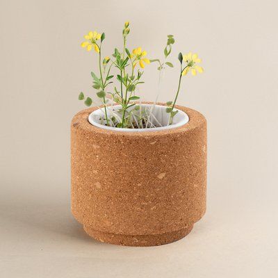 Maceta de Corcho con Semillas Silvestres UE FLORES