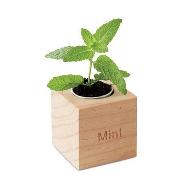 Maceta de madera con semillas de menta