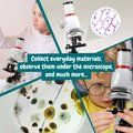 Microscopio educativo con lentes ajustables