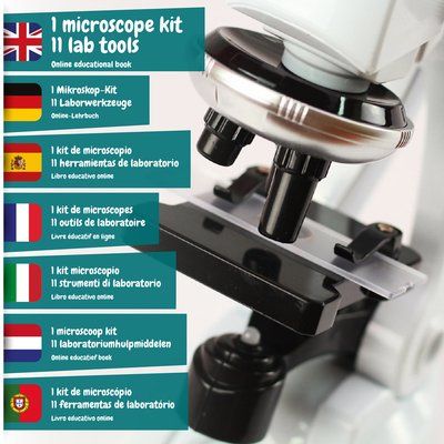 Microscopio educativo con lentes ajustables