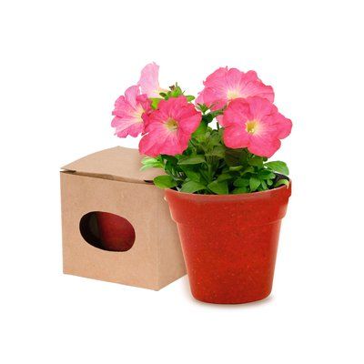 Mini Maceta Biodegradable Roj