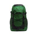 Mochila deportiva de 30L Verde Helecho