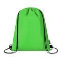 Mochila Nevera 4L Acolchada Ver