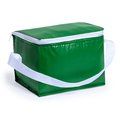 Nevera para 6 latas en PVC Ver
