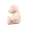 Oso de peluche personalizable